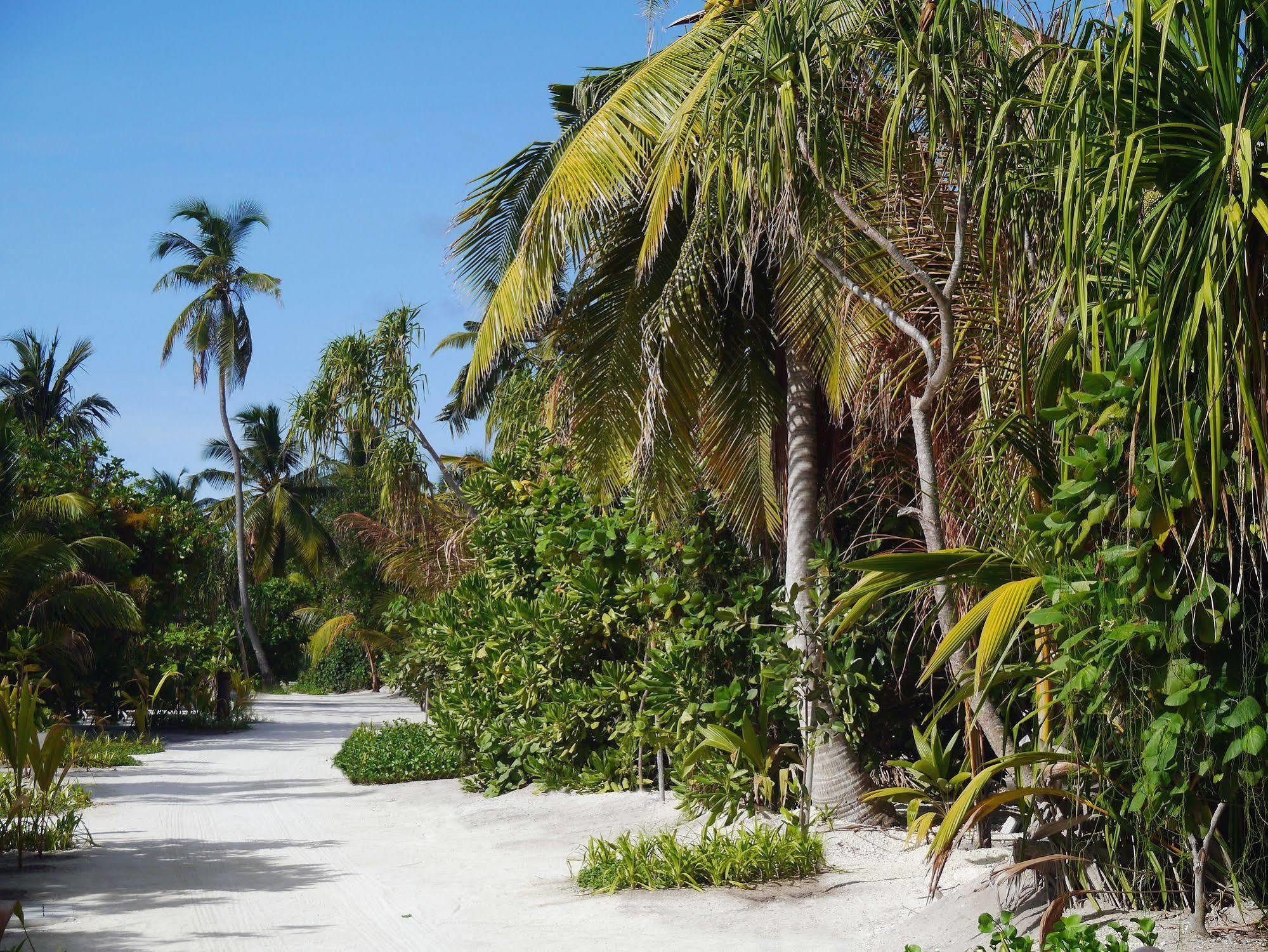 The Residence Maldives Dhigurah  Zewnętrze zdjęcie